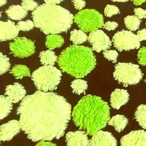 Twin lime green bed spread